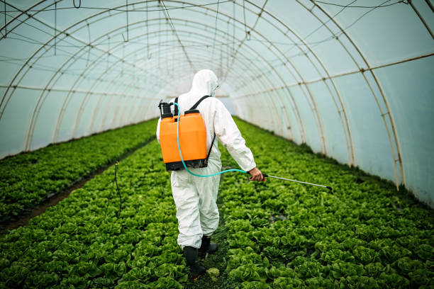 Best Local Pest Control Services  in Gautier, MS