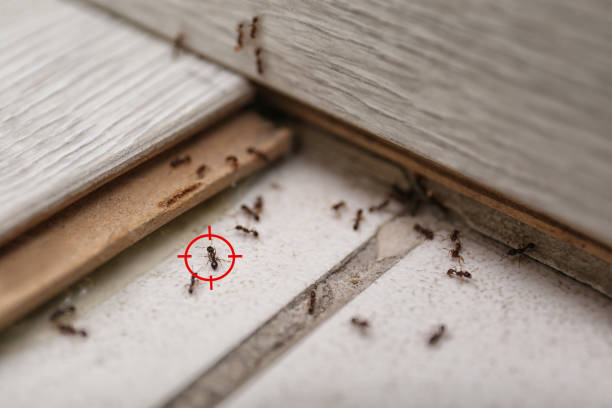 Best Cockroach Control Services  in Gautier, MS