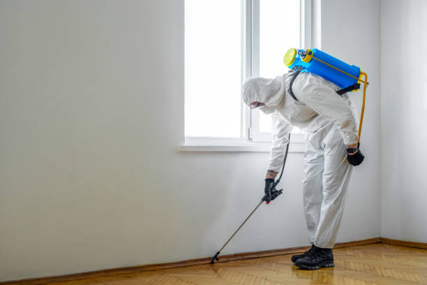 Best Best Pest Control Companies  in Gautier, MS