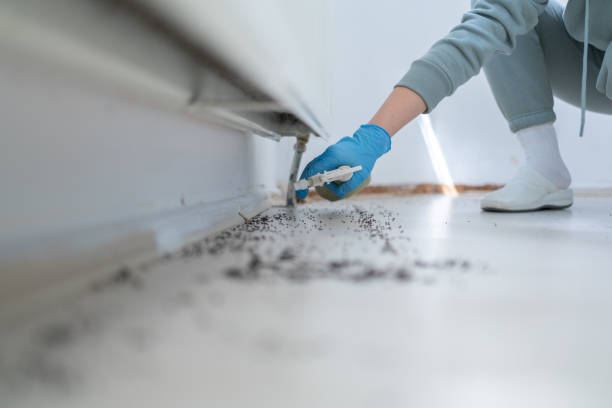 Best Pest Removal Services  in Gautier, MS