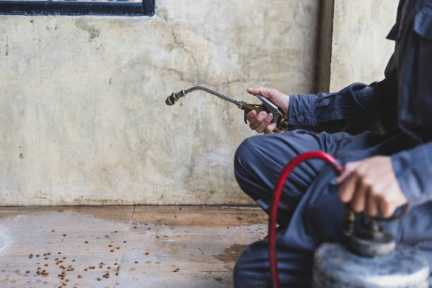 Best Wasp Removal Services  in Gautier, MS
